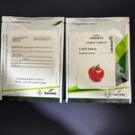 بذر گوجه فرنگی 8320 پاکتی