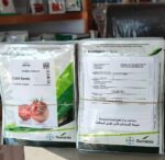 بذر گوجه فرنگی بریویو F1 شرکت سمینیس