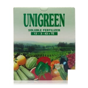 1060010018 یونی گرین 1 کیلویی 12 3 43 بازارگان کالا 2.jpg - سبزکشت