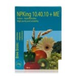 1060010074 10 40 10 گربی ایتالیا دو کیلویی رها اندیش کاوان 2.jpg - سبزکشت