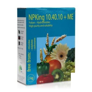 کود NPKing 10.40.10 ایتالیا