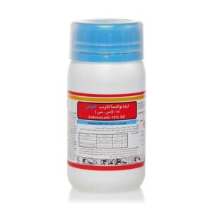 آوانت کاوش
