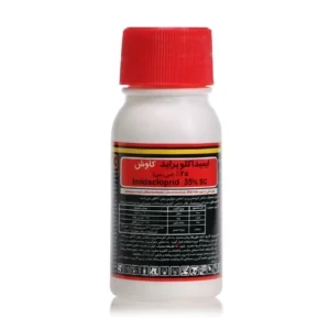 خانگی کنفیدور کاوش