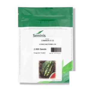 بذر هندوانه بی 32 (B32)