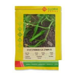 بذر خیار 009 (GS 27009) گلوریا سیدز