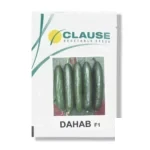 بذر خیار گلخانه دهاب کلوز
