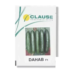 بذر خیار گلخانه دهاب کلوز