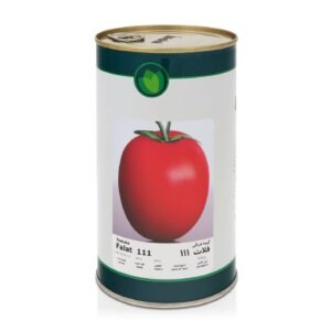 بذر گوجه فلات 111