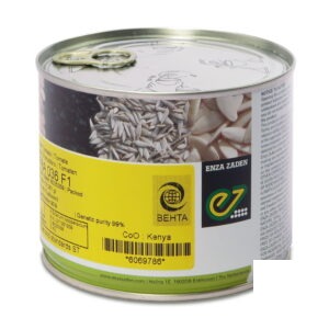 1130030053 گوجه هیبرید افرا 2 1.jpg - سبزکشت