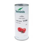 بذر گوجه 1585 (SV1585TE) سمینیس