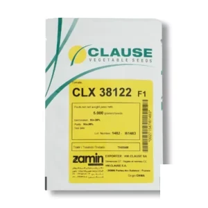 بذر گوجه CLX 38122 کلوز