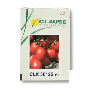 بذر گوجه CLX 38122 کلوز