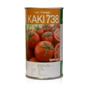 بذر گوجه فرنگی کاکی 738