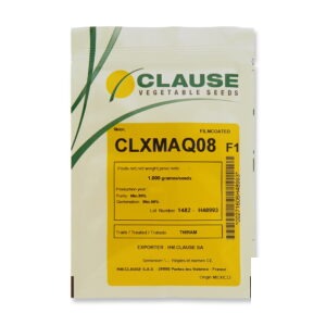 بذر خربزه آناناسی 08 (CLXMAQ08) کلوز