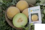 بذر خربزه گالیا مارکو کلوز
