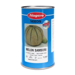 بذر طالبی سمسوری نیاگارا