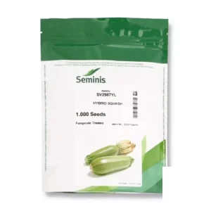 بذر کدو خورشتی SV2987YL سمینیس