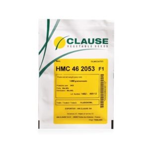 بذر خربزه گالیا HMC 46 2053