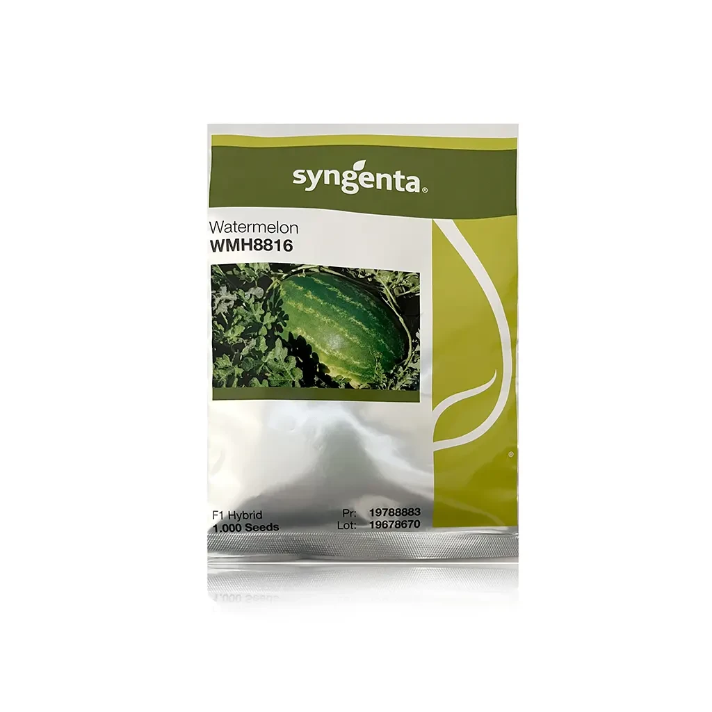 8816-watermelon-seeds بذر هندوانه 8816