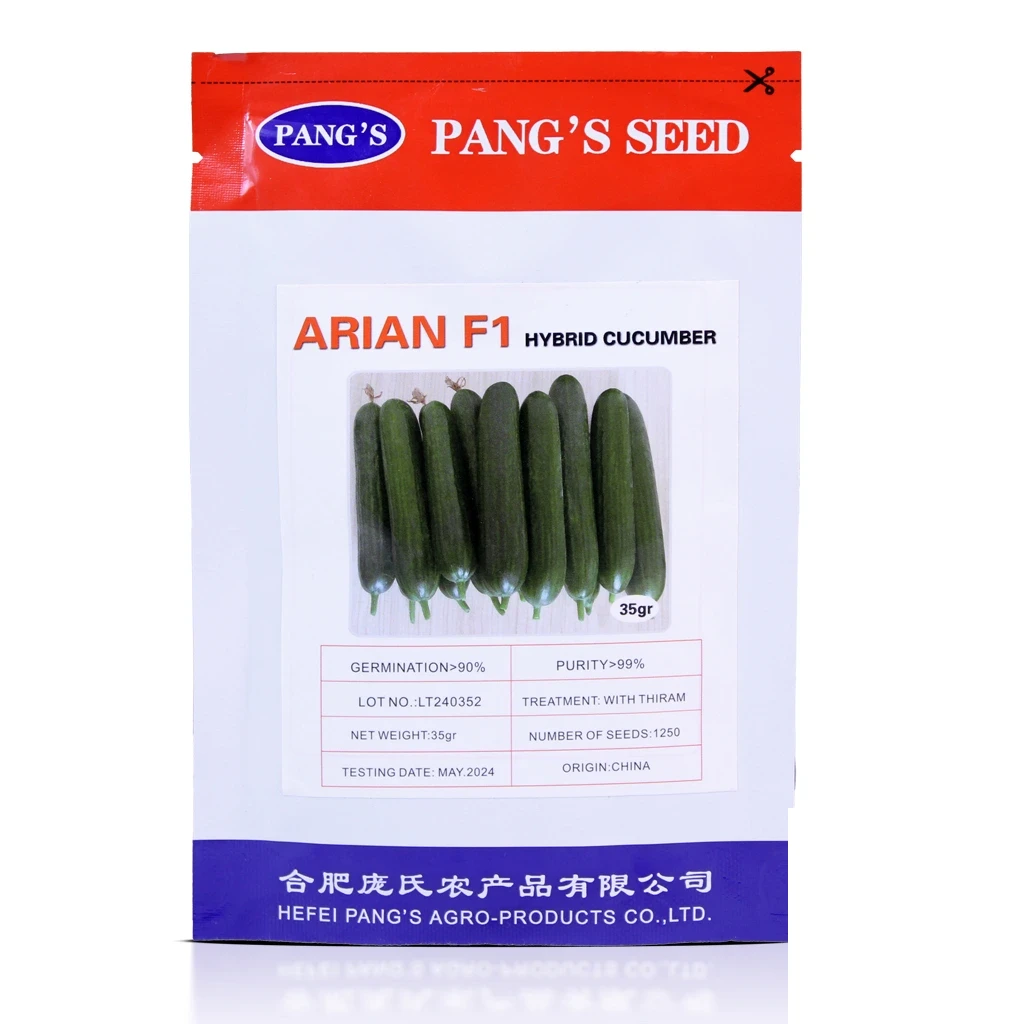 Arian F1_01 copy بذر خیار آرین پانگز سید