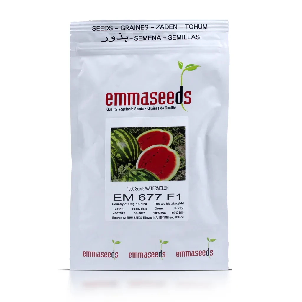 EM 677 F1 Emma Seeds_01 copy 2 بذر هندوانه کریمسون سوئیت EM677
