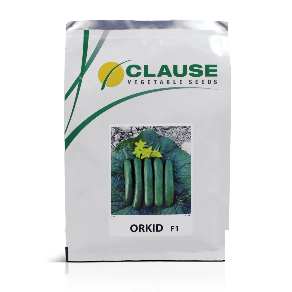 Orkid F1_01 copy بذر خیار ارکید کلوز