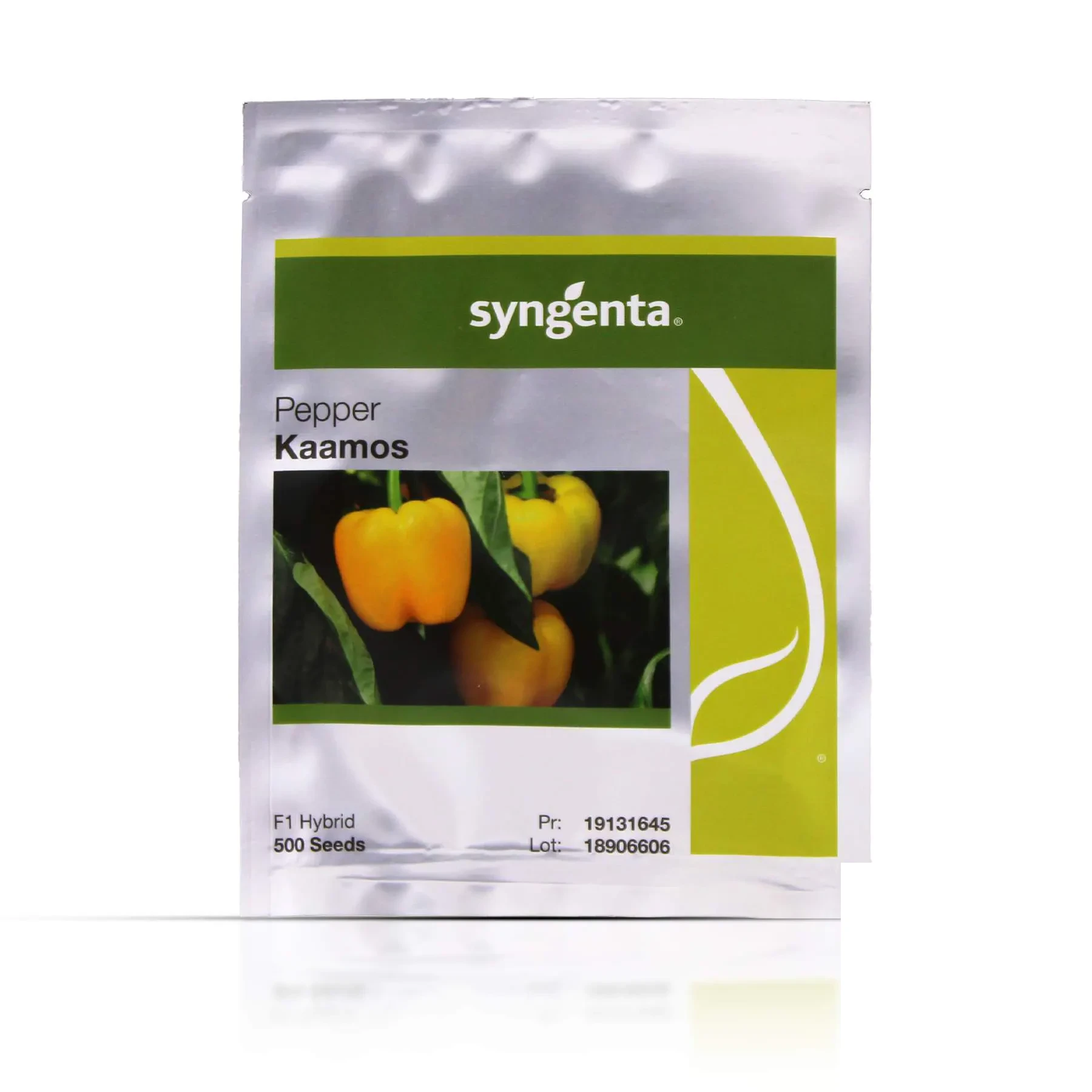 Pepper Kaamos Syngenta_01 copy بذر فلفل دلمه زرد گلخانهای کاموس