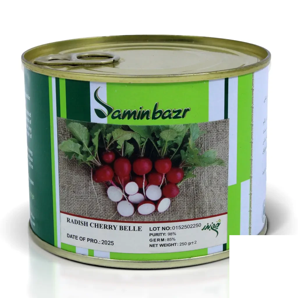 Radish-Samin-Bazr_01 بذر تربچه نقلی ثمین