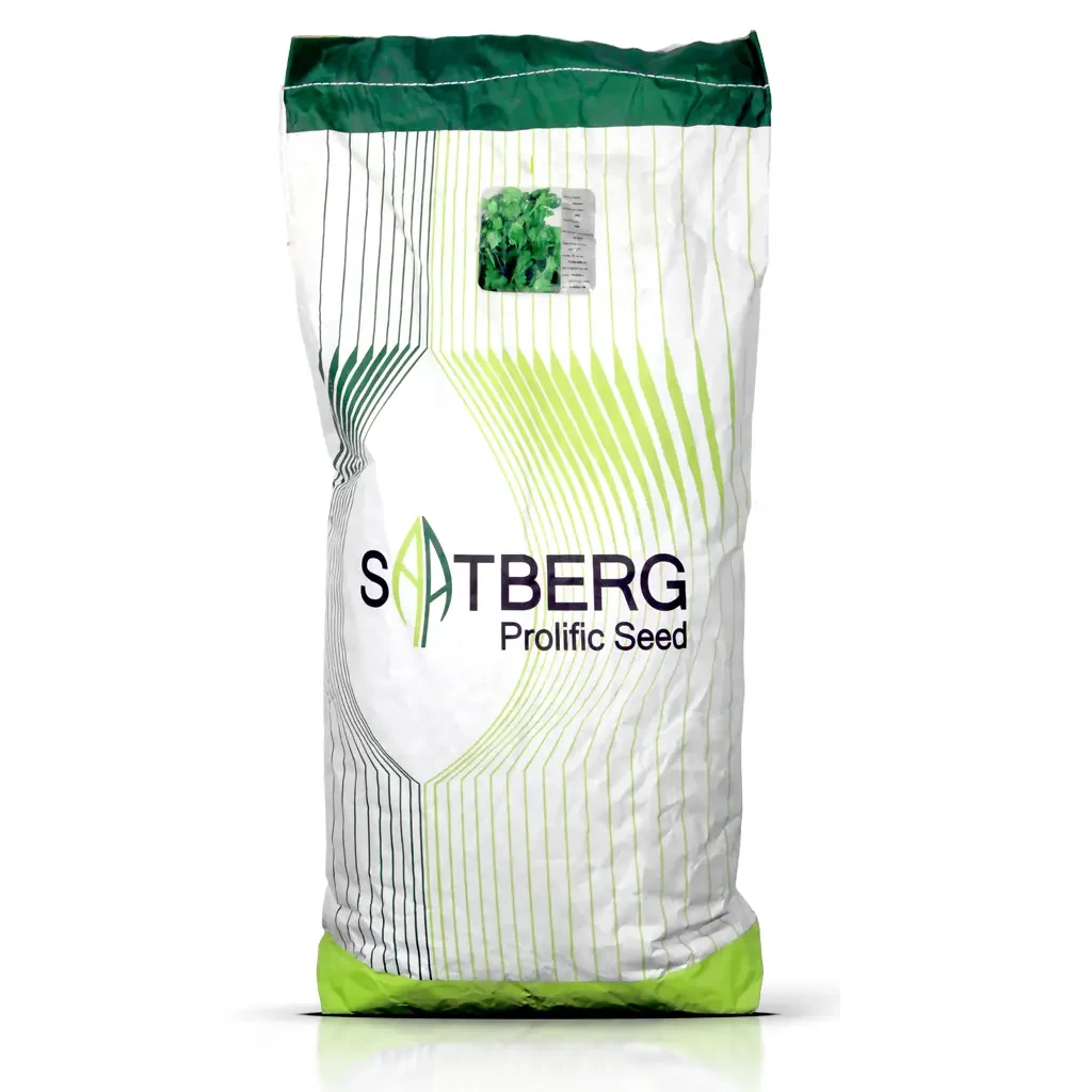 Satburg-Prolific-Seed_01 بذر جعفری ساتبرگ
