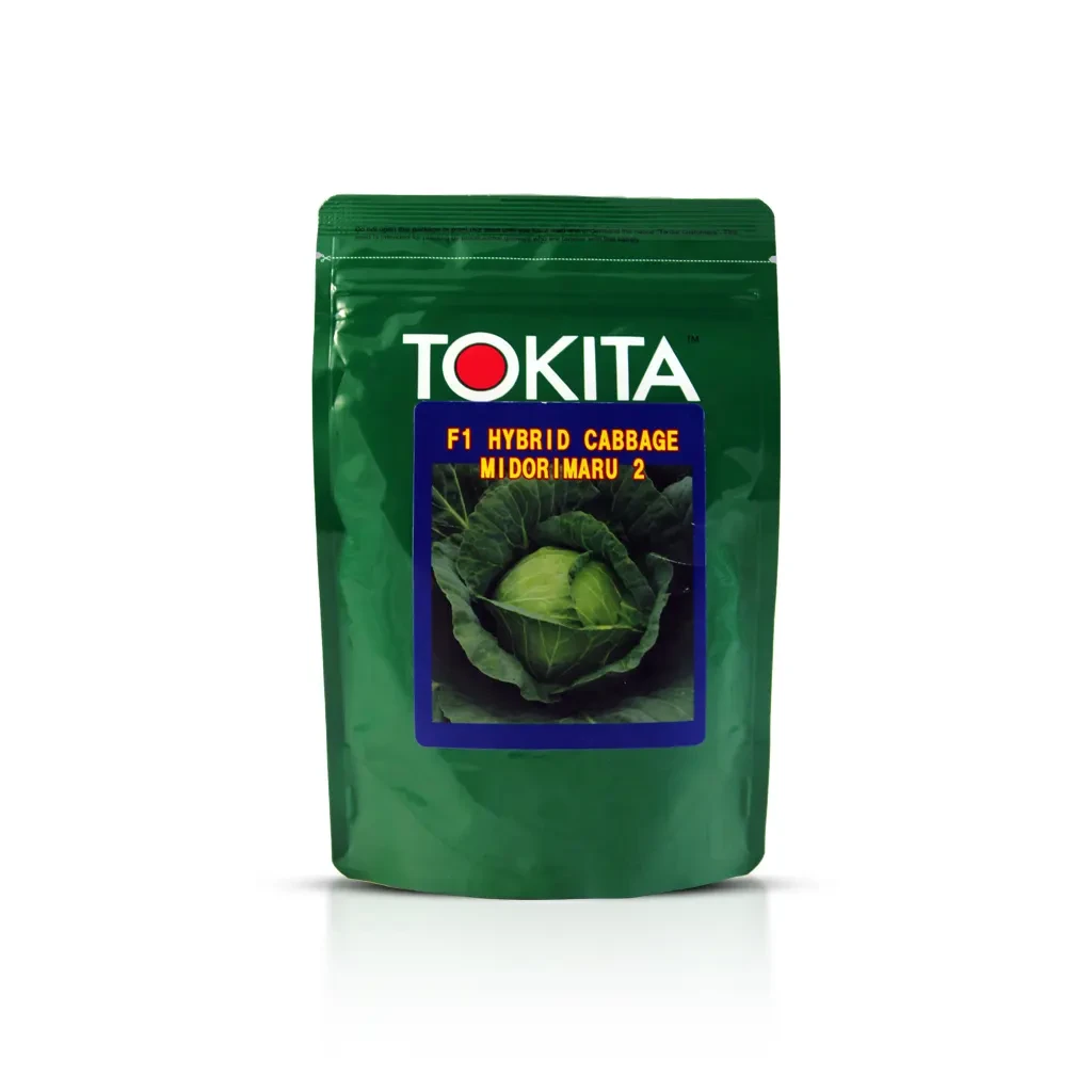 Tokita_01 copy 3 بذر کلم پیچ سفید میدوریمارو