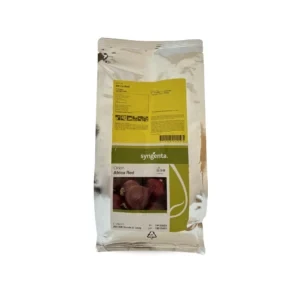بذر پیاز قرمز آفریکا رد