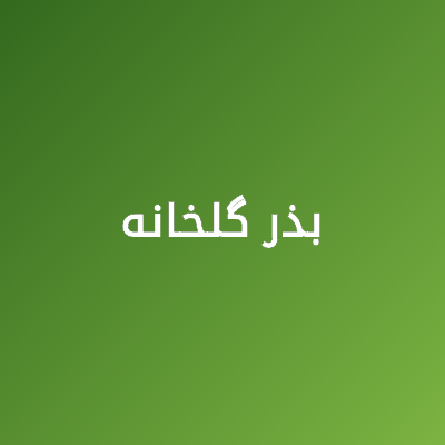 بذر گلخانه - سبزکشت