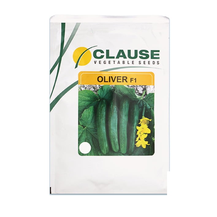 clause-oliver بذر خیار الیور کلوز