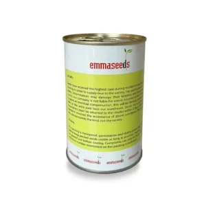 بذر گوجه دنیز
