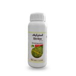 استرایک رها اندیش