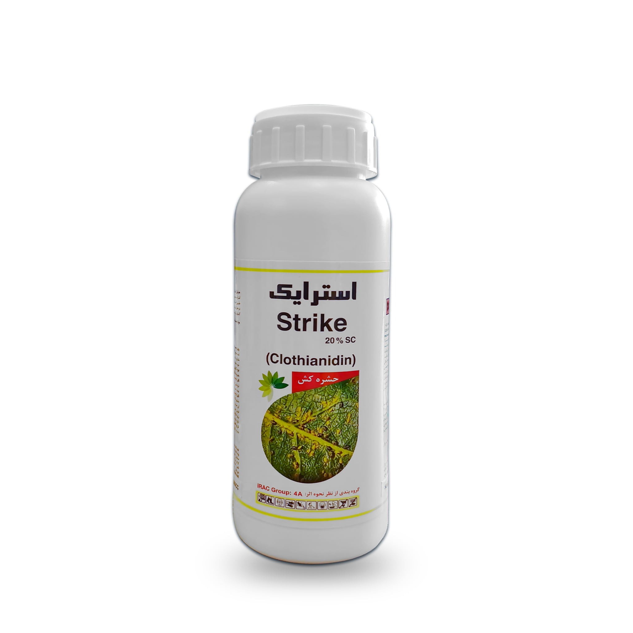 استرایک استرایک رها اندیش