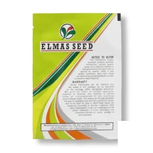 بذر گوجه پاترسون الماس سید