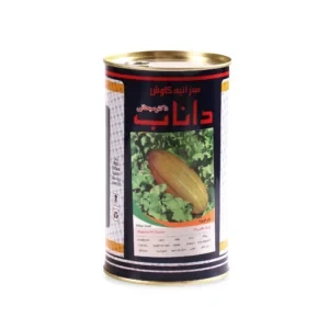 بذر خربزه مشهدی داناب