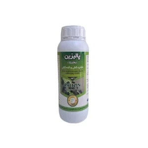 پالیزین 1 - سبزکشت