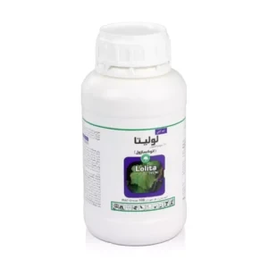 لولیتا گلسم