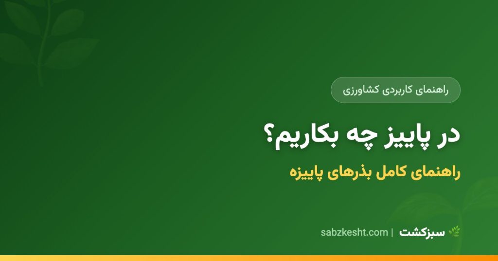 در پاییز چه بکاریم؟ راهنمای کامل بذرهای پاییزه - سبزکشت