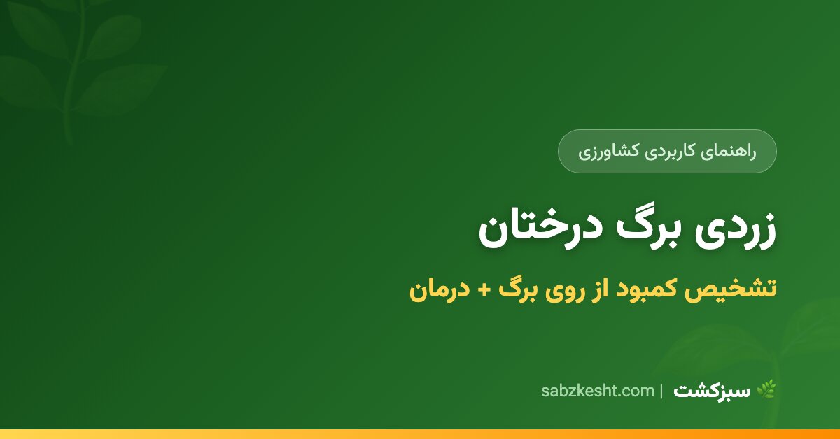 زردی برگ درختان: تشخیص کمبود از روی الگوی برگ + درمان - سبزکشت