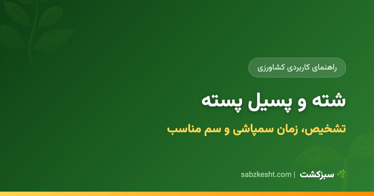شته پسته: تشخیص، زمان سمپاشی و بهترین شته‌کش - سبزکشت